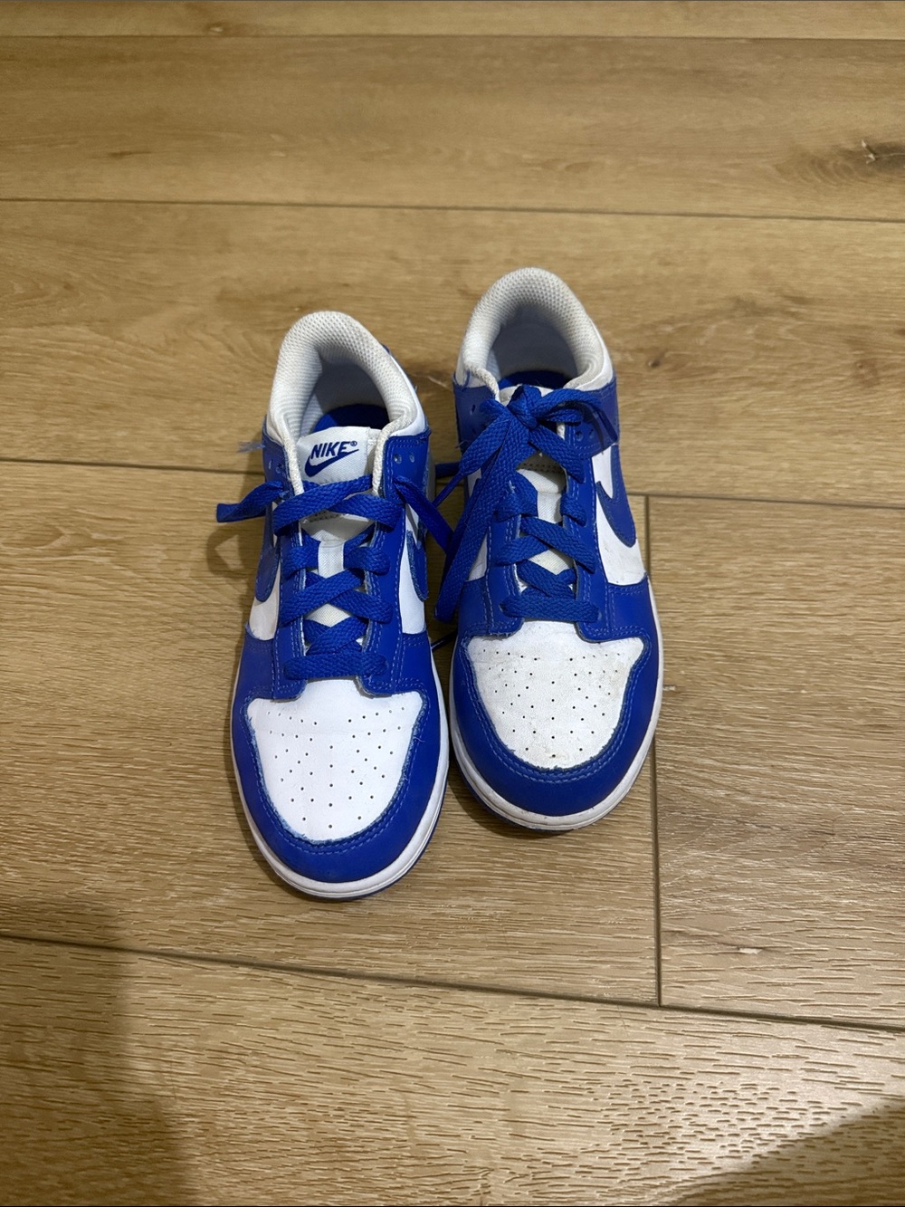 Nike Kids Royal Blue and White Dunks